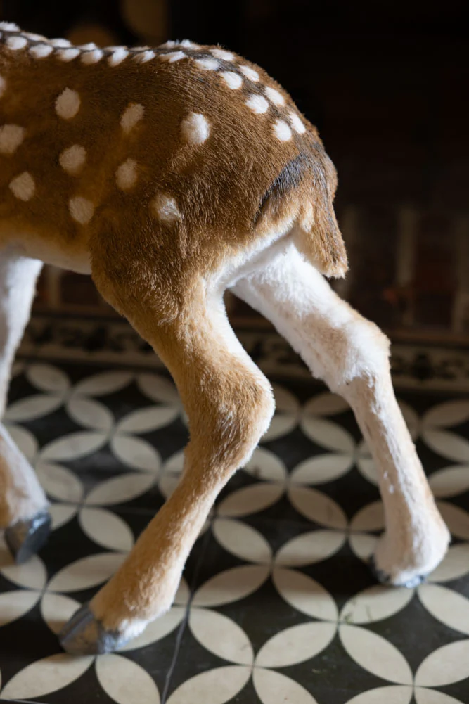 Baby Deer Christmas Decoration - Image 6