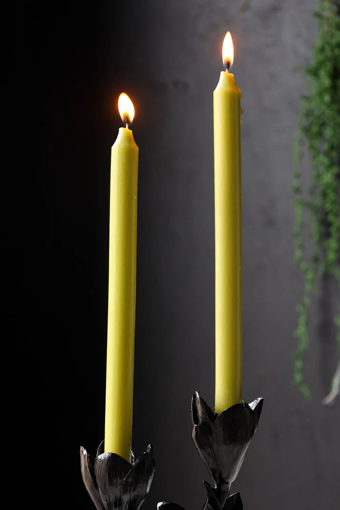 Beautiful Dinner Candle - Lime Green - Image 6