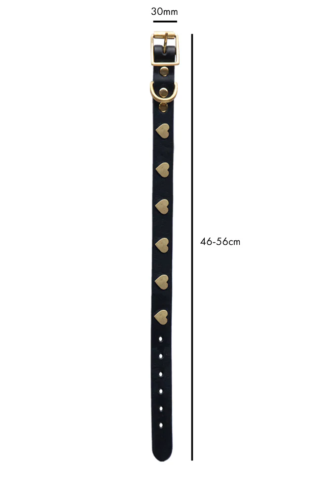 Black Leather Dog Collar With Hearts - 5 Available Sizes - Image 10