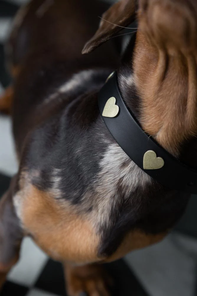 Black Leather Dog Collar With Hearts - 5 Available Sizes - Image 2