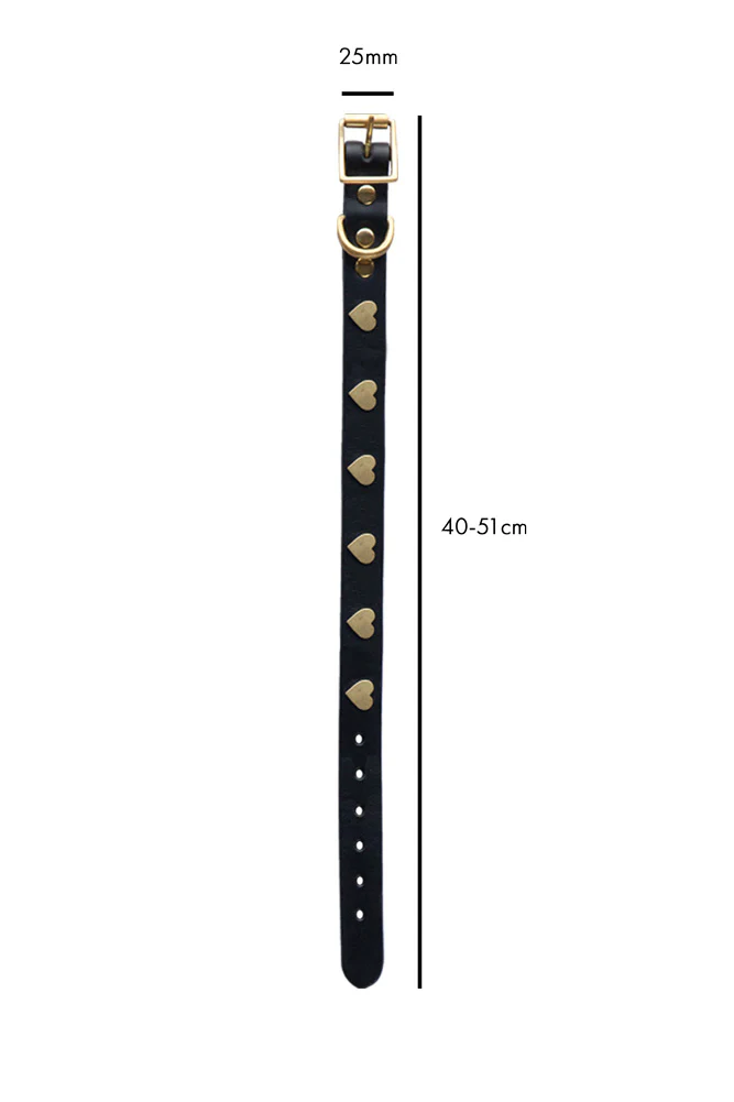 Black Leather Dog Collar With Hearts - 5 Available Sizes - Image 9