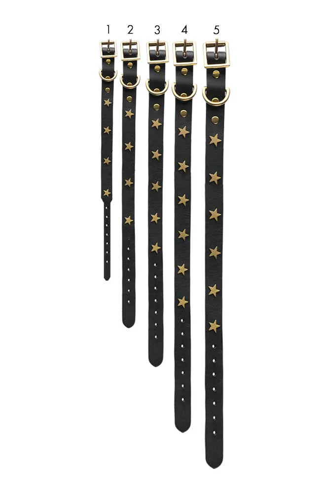 Black Leather Dog Collar With Stars - 5 Available Sizes - Image 10