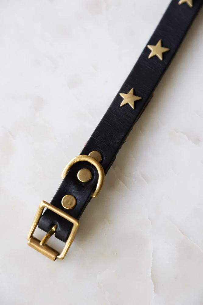 Black Leather Dog Collar With Stars - 5 Available Sizes - Image 3