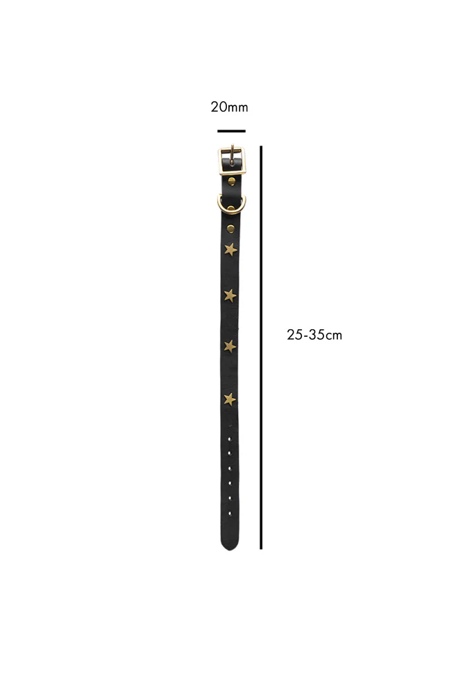 Black Leather Dog Collar With Stars - 5 Available Sizes - Image 6