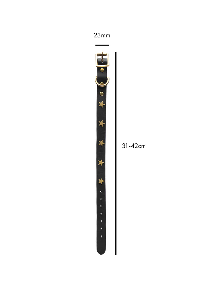 Black Leather Dog Collar With Stars - 5 Available Sizes - Image 7