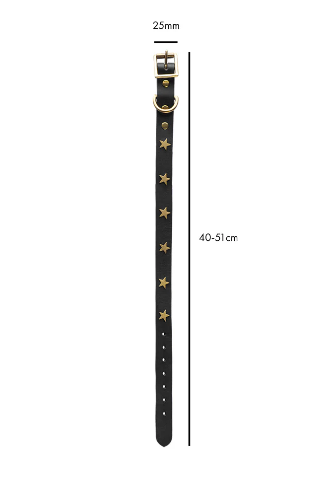 Black Leather Dog Collar With Stars - 5 Available Sizes - Image 8