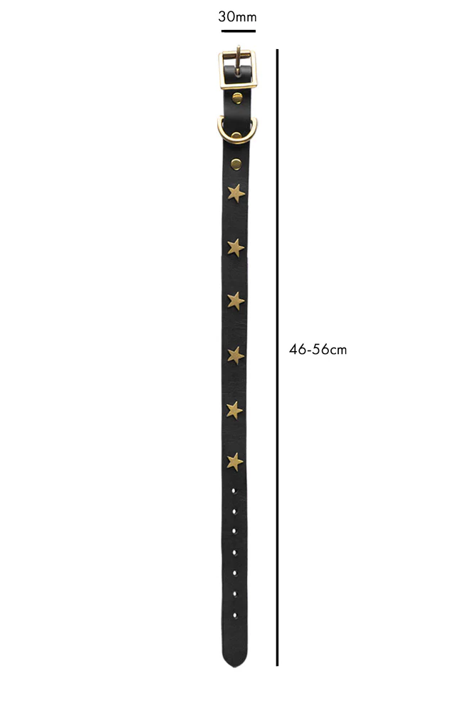 Black Leather Dog Collar With Stars - 5 Available Sizes - Image 9