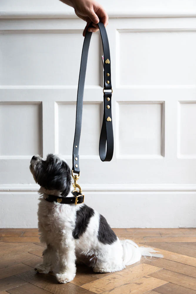 Black Leather Dog Lead With Hearts - Image 3