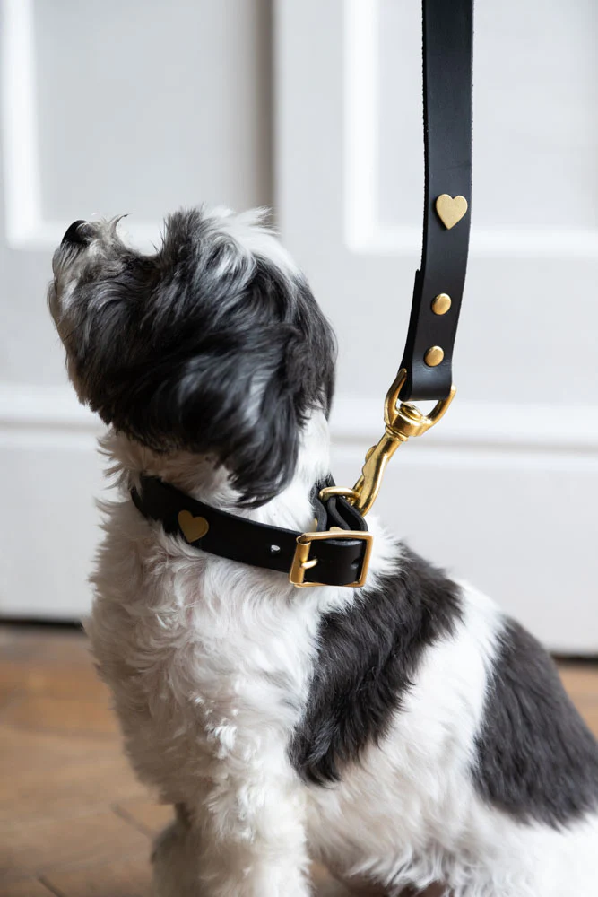 Black Leather Dog Lead With Hearts - Image 5