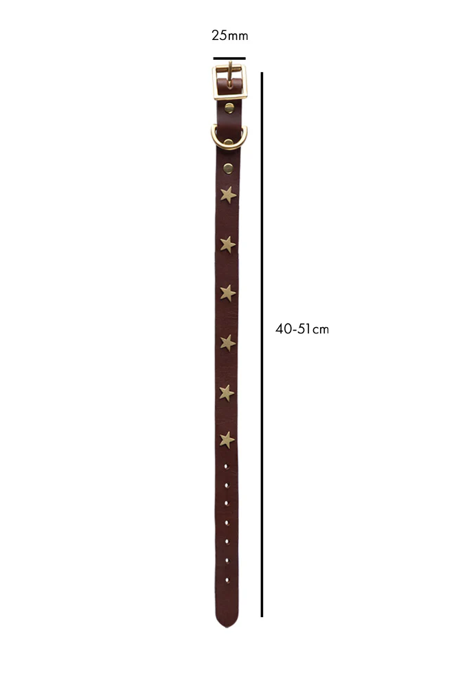 Brown Leather Dog Collar With Stars - 5 Available Sizes - Image 10