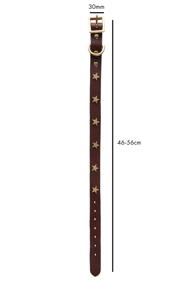 Brown Leather Dog Collar With Stars - 5 Available Sizes - Image 11