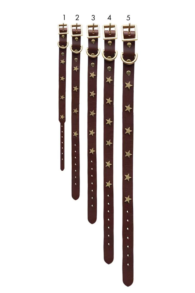 Brown Leather Dog Collar With Stars - 5 Available Sizes - Image 12