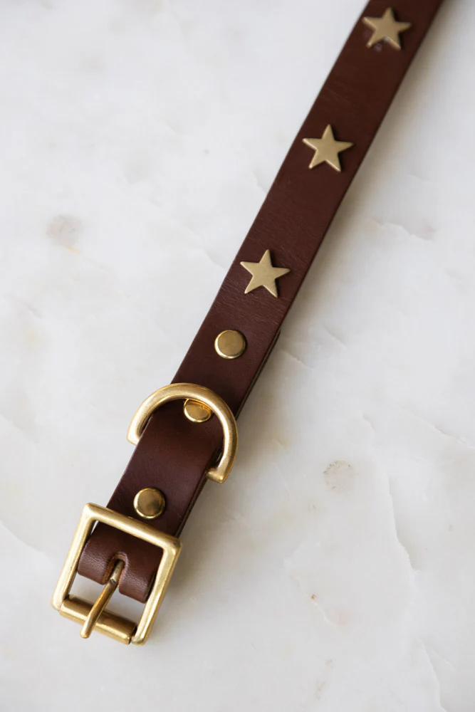 Brown Leather Dog Collar With Stars - 5 Available Sizes - Image 3