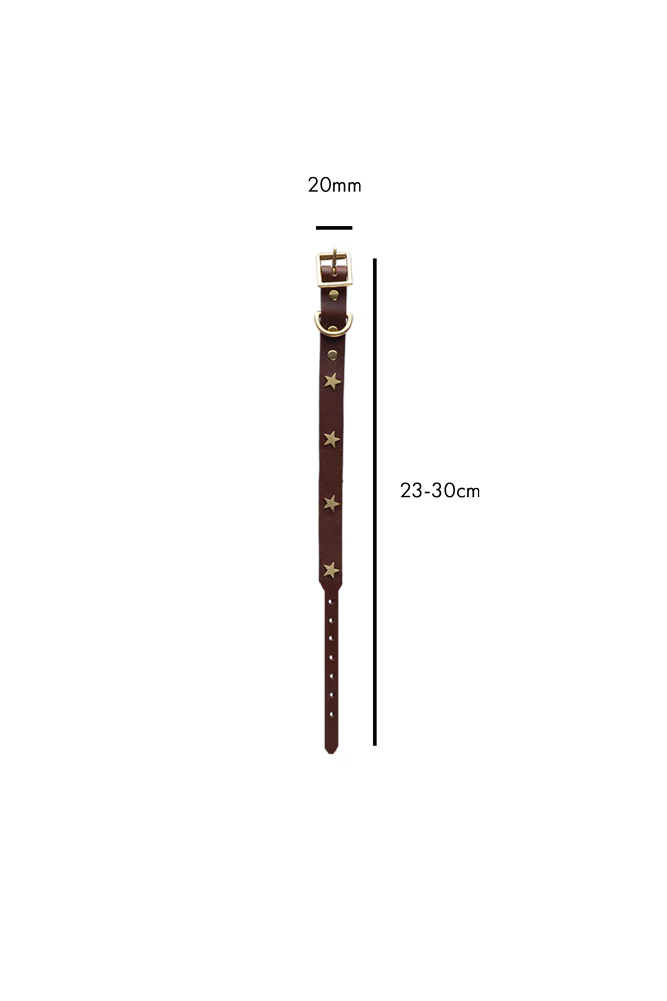 Brown Leather Dog Collar With Stars - 5 Available Sizes - Image 7