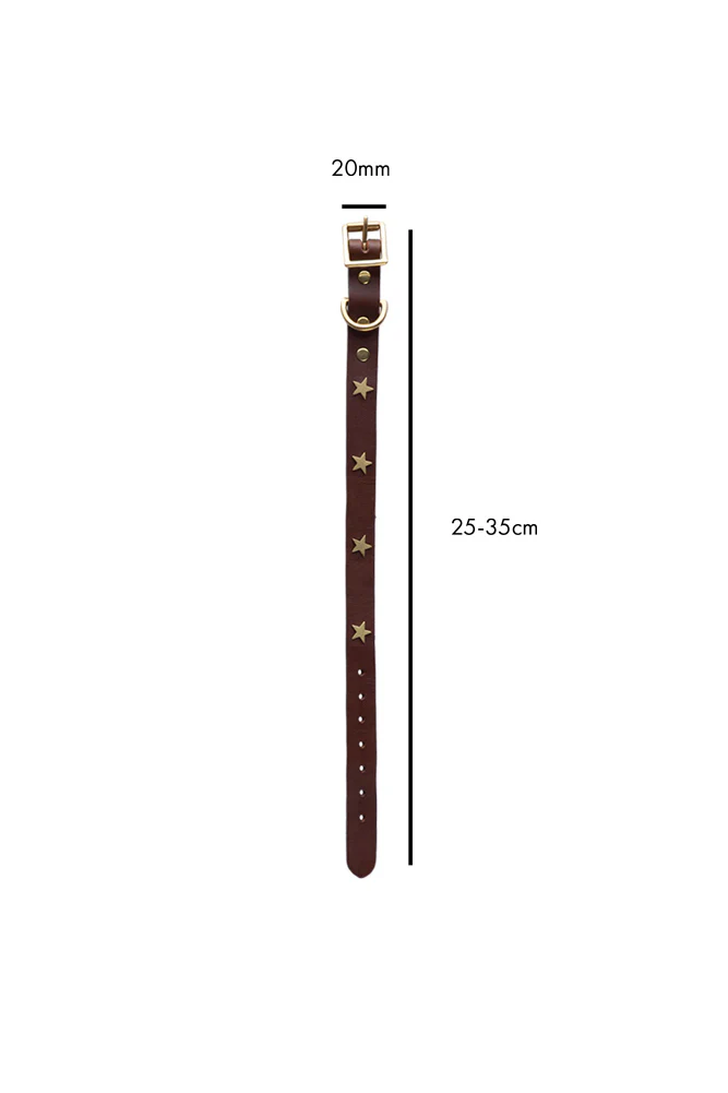 Brown Leather Dog Collar With Stars - 5 Available Sizes - Image 8