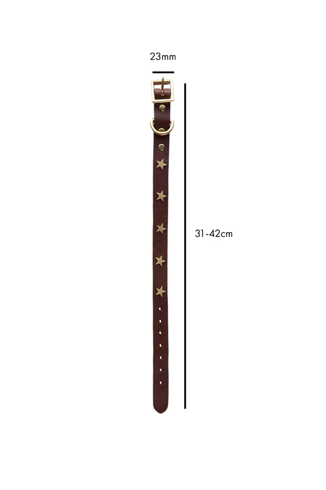 Brown Leather Dog Collar With Stars - 5 Available Sizes - Image 9