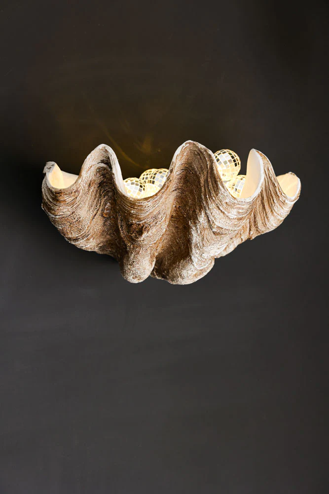 Clam Shell Wall Shelf - Image 10