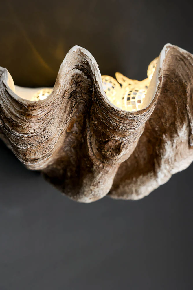Clam Shell Wall Shelf - Image 11