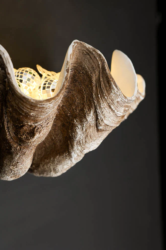 Clam Shell Wall Shelf - Image 12