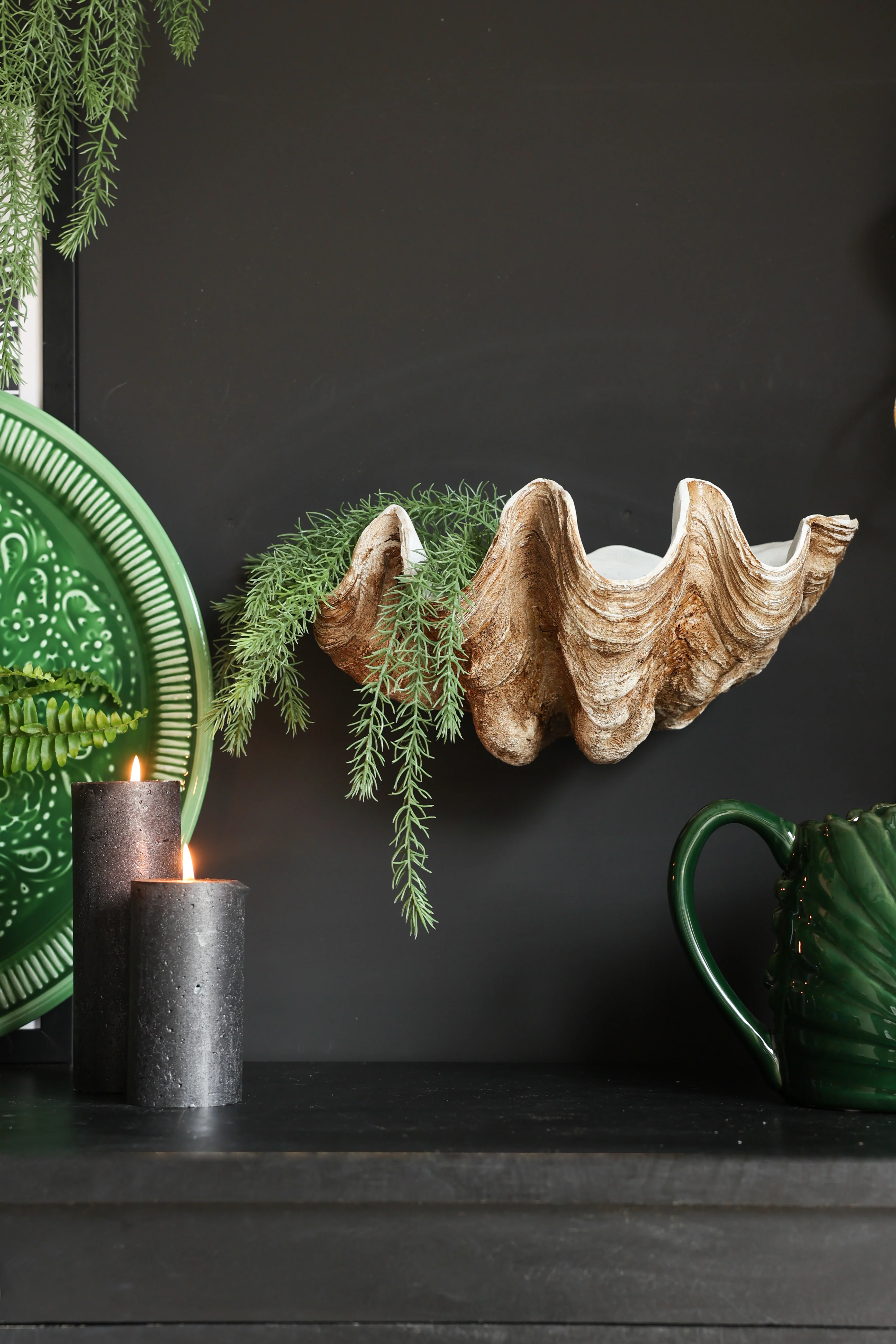 Clam Shell Wall Shelf - Image 3