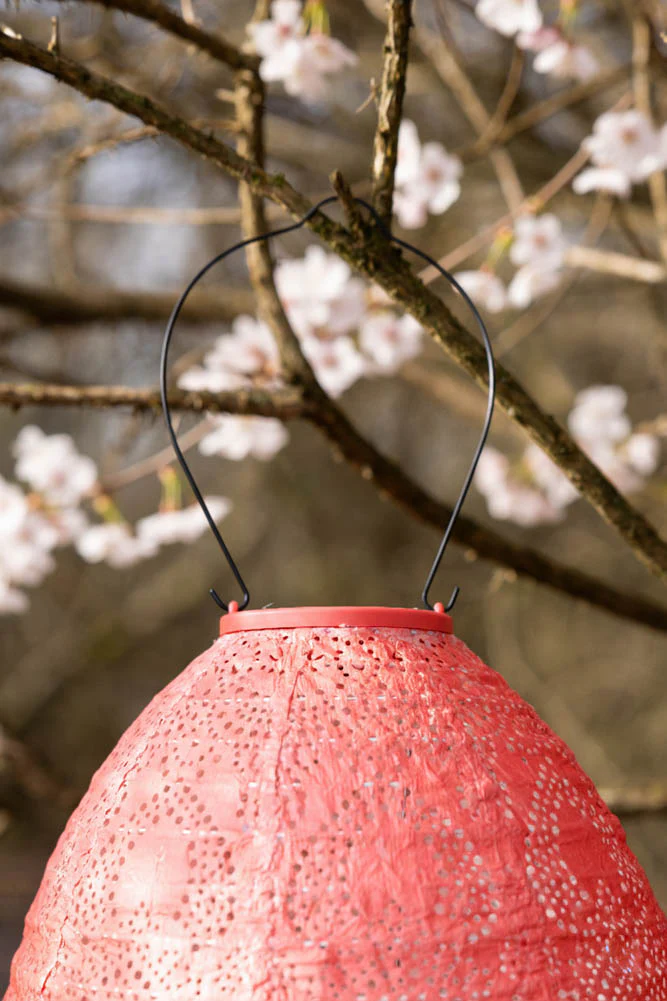 Coral Dome Outdoor Solar Lantern With Stand - Image 3