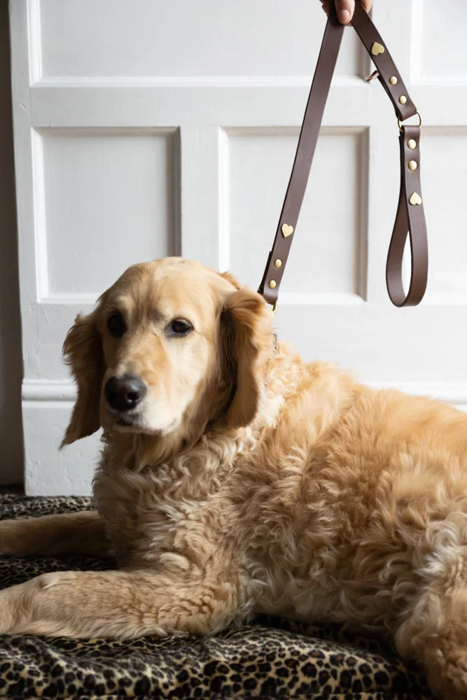 Dark Brown Leather Dog Lead With Hearts - Image 2