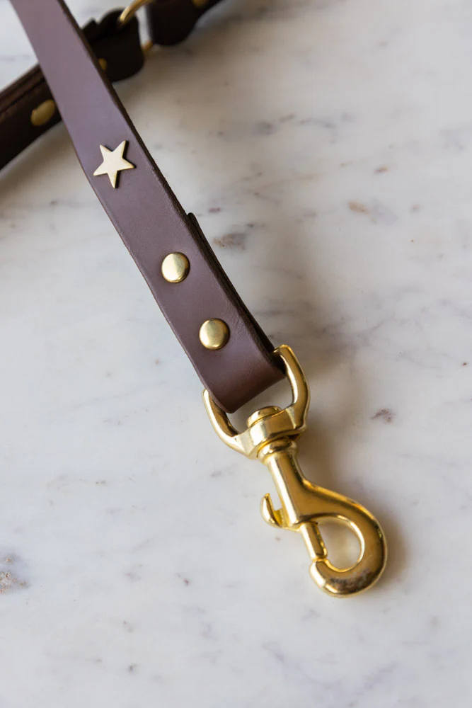 Dark Brown Leather Dog Lead With Stars - Image 7