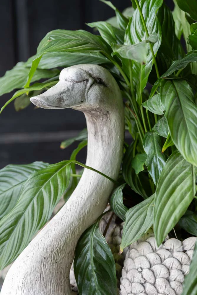 Elegant Swan Planter - Image 3
