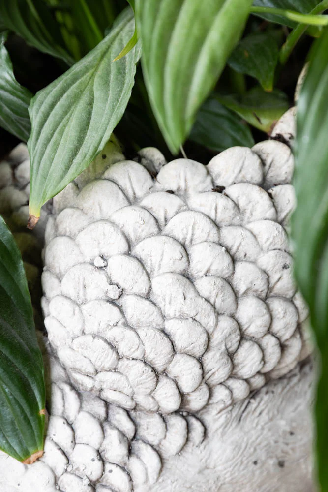 Elegant Swan Planter - Image 4
