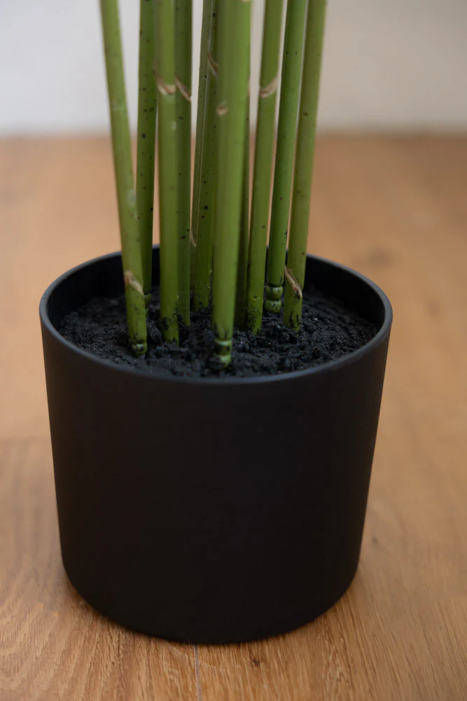 Extra Large Faux Bamboo Tree - Image 5