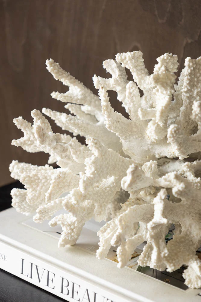 Faux Pure White Coral Ornament - Image 2