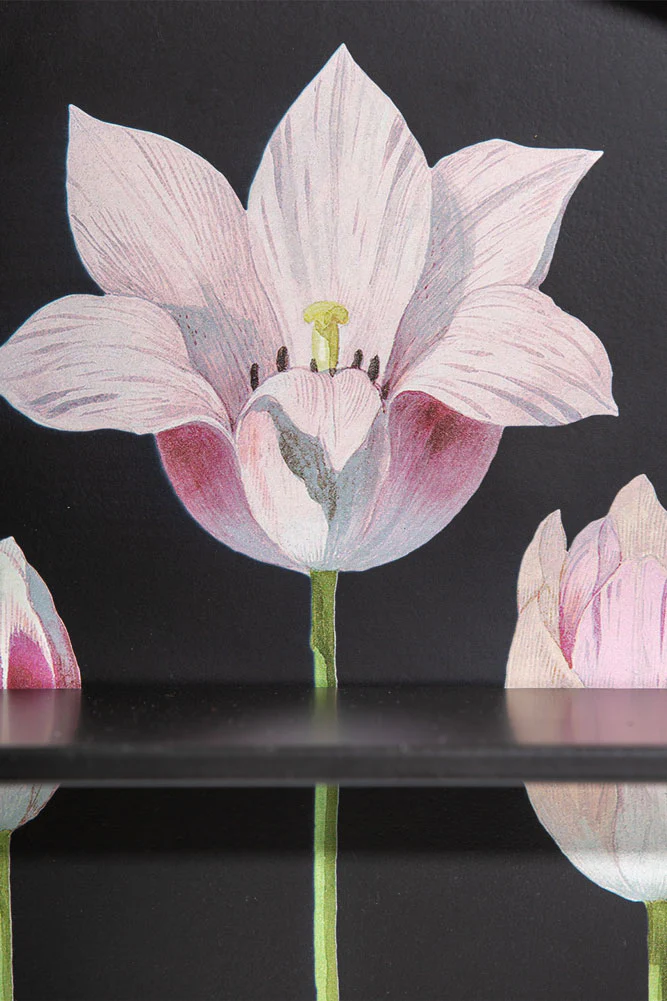 Floral & Black Metal Display Shelves - Image 15