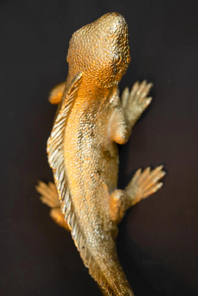Gold Lizard Table/Wall Light - Image 4