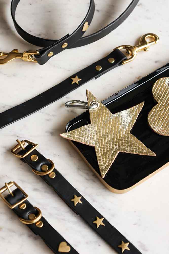 Gold Star Dog Poo Bag Pouch - Image 3