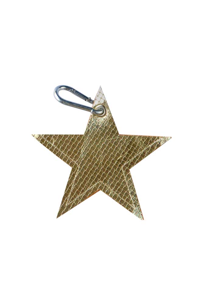 Gold Star Dog Poo Bag Pouch - Image 6