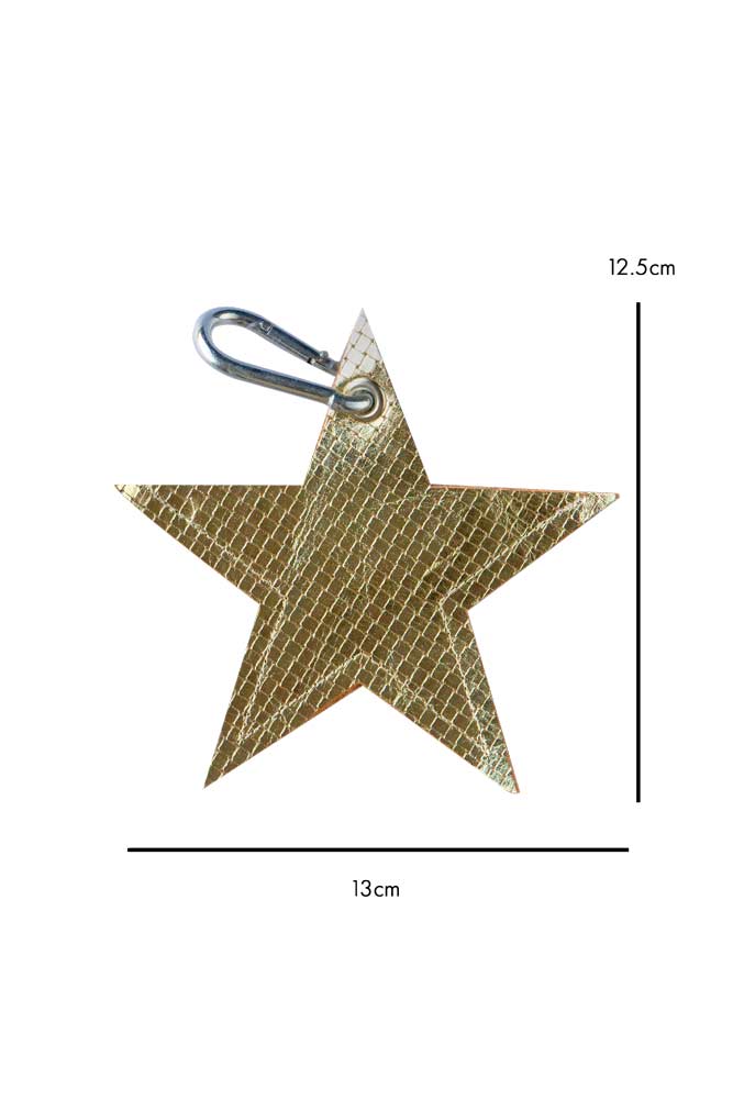 Gold Star Dog Poo Bag Pouch - Image 7