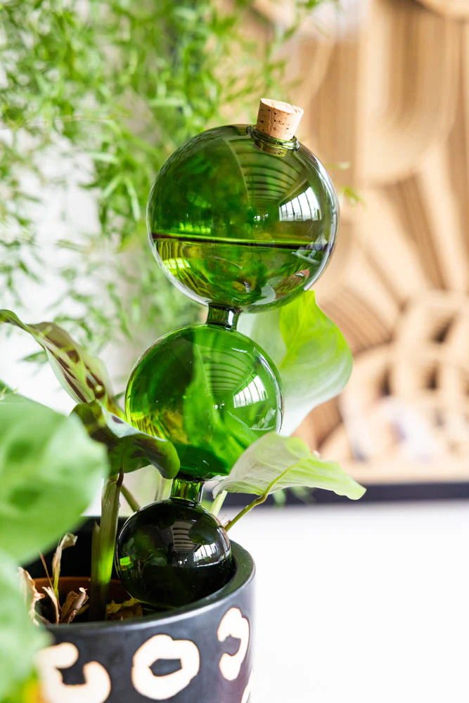 Green Glass Self-Watering Pipette - Image 3