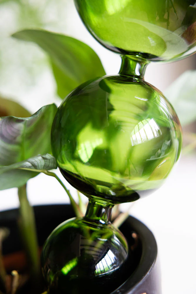 Green Glass Self-Watering Pipette - Image 6
