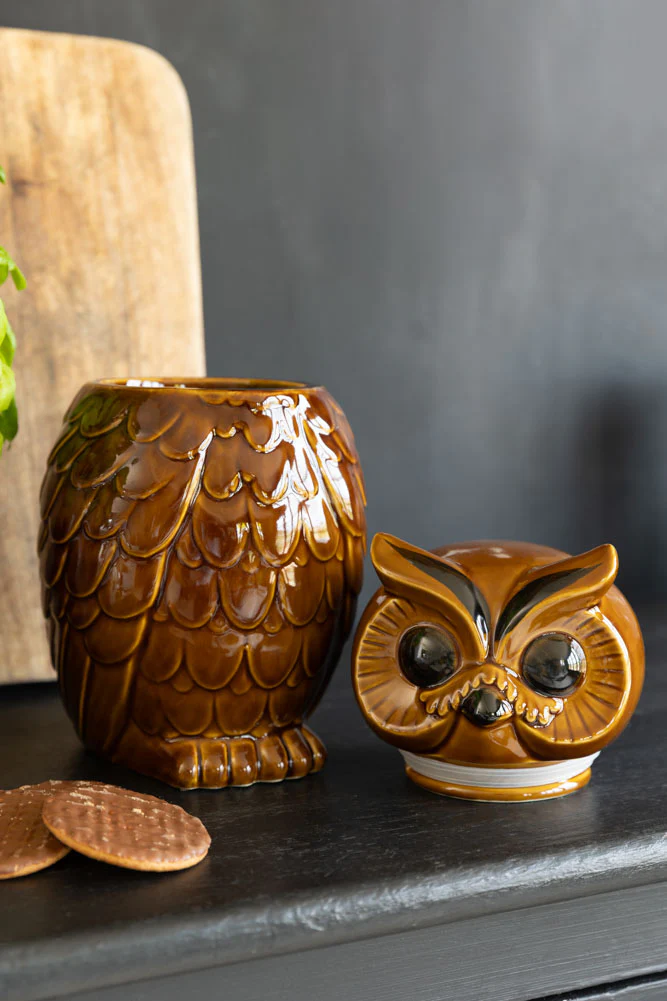 HKLIVING Ceramic Owl Jar - Image 3