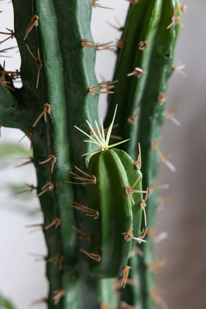 Large Faux Cactus Plant - Image 2