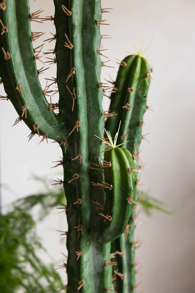 Large Faux Cactus Plant - Image 5