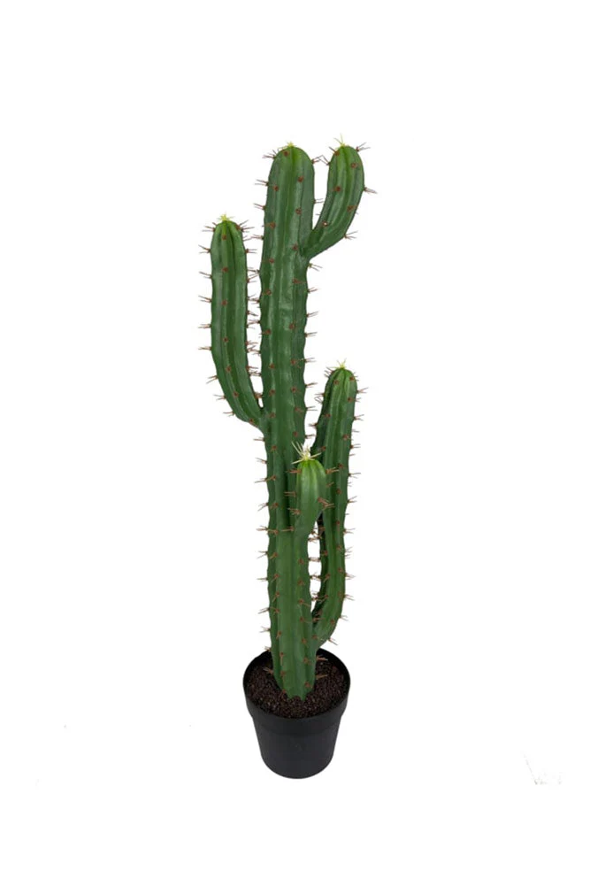Large Faux Cactus Plant - Image 6