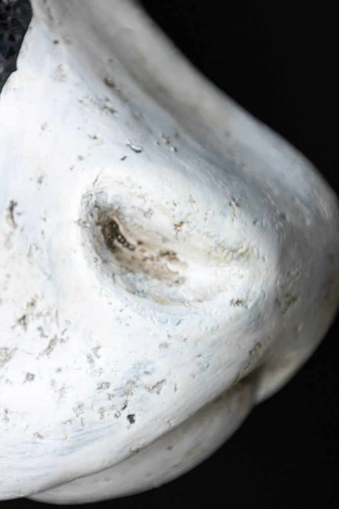 Large Faux Cow Head Wall Art - Image 6