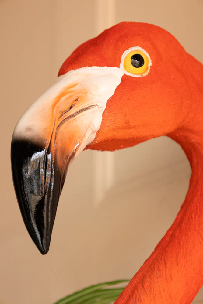 Large Faux Flamingo Head Wall Art - Image 3