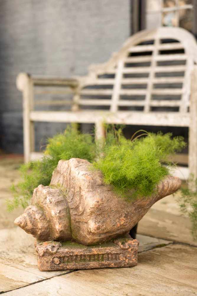 Large Shell Planter - Image 2