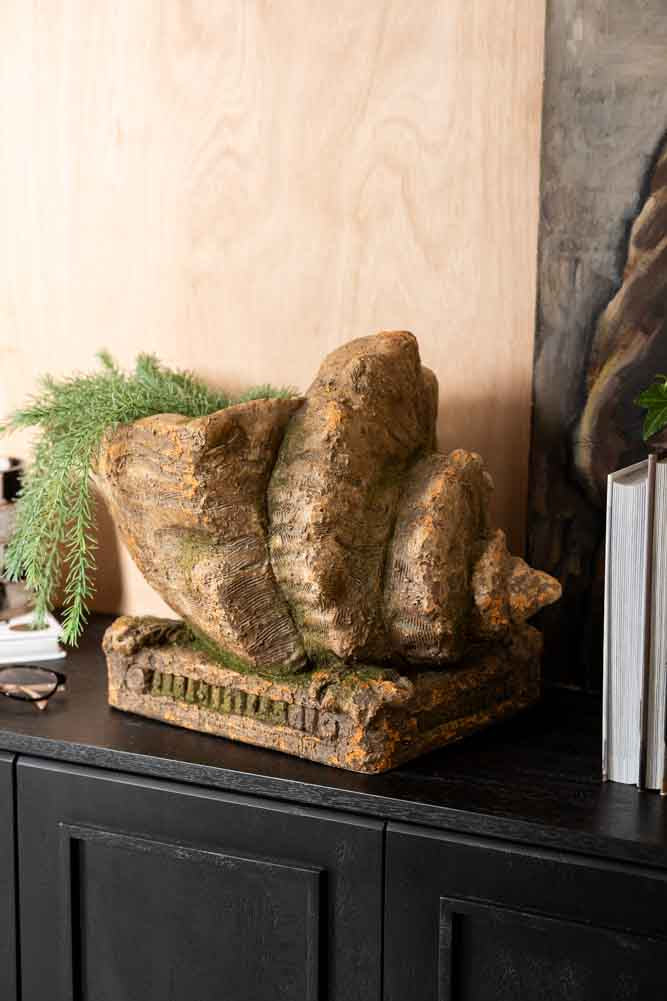 Large Shell Planter - Image 4