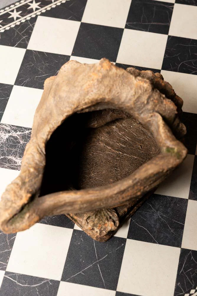 Large Shell Planter - Image 9