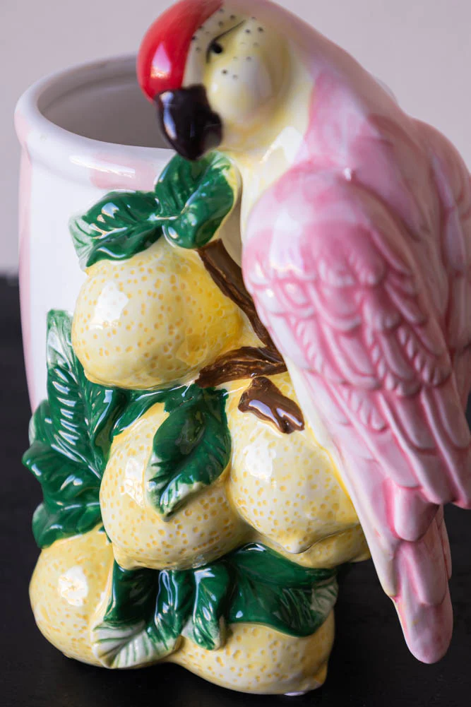 Lemon & Parrot Pink Stripe Indoor Planter - Image 7