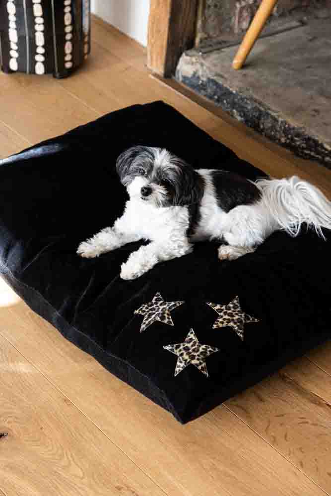 Leopard Stars Dog Bed - 3 Available Sizes - Image 10