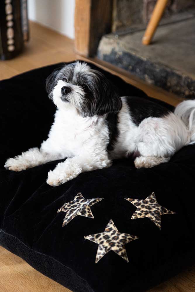 Leopard Stars Dog Bed - 3 Available Sizes - Image 11